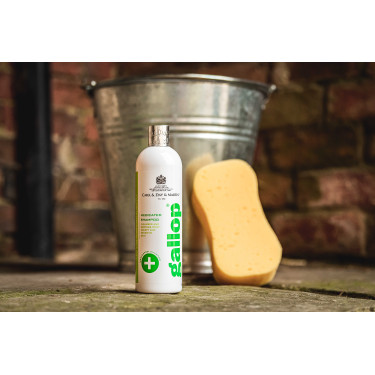 Shampoo antibatterico Gallop® Carr & Day & Martin