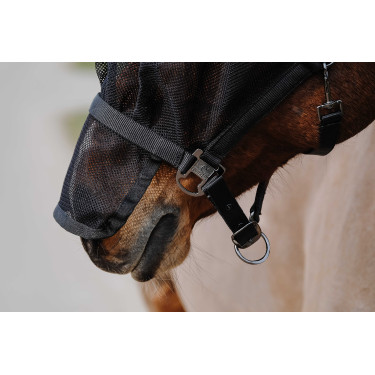 Capezza + maschera Equithème Nero