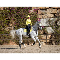 Intimo tecnico My LeMieux Limone Giallo