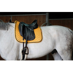 Sottosella Equithème Glossy