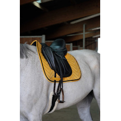 Sottosella Equithème Glossy
