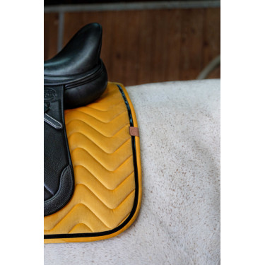 Sottosella Equithème Glossy