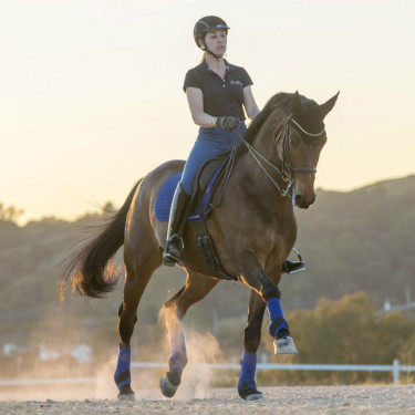 Tappetino LeMieux Suede Dressage Square Blu benetton Tappetino LeMieux Suede Dressage Square Blu benetton