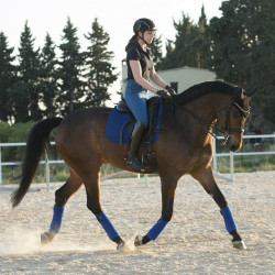 Tappetino LeMieux Suede Dressage Square Blu benetton