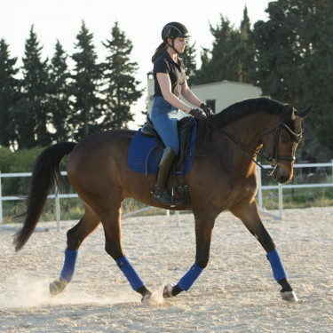 Tappetino LeMieux Suede Dressage Square Blu benetton Tappetino LeMieux Suede Dressage Square Blu benetton