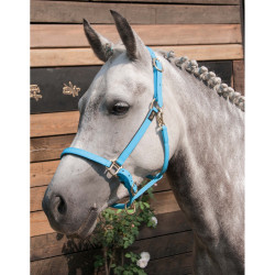 Capezzina Biotack® T de T