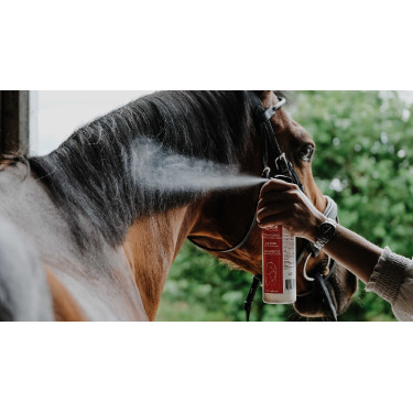 Districante lucidante Rekor Show Coat