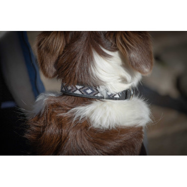 Collare per cane Pénélope Pearl