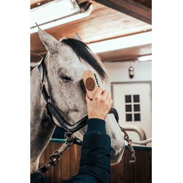 Spazzola per la testa Borstiq