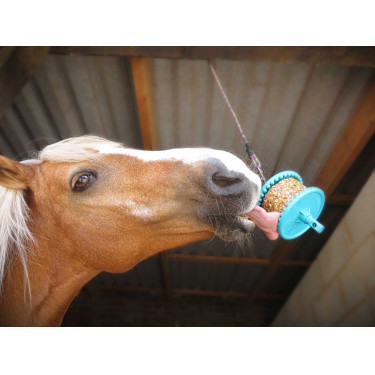 Pietra da leccare Likit