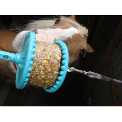 Pietra da leccare Likit