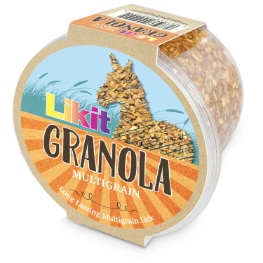 Pietra da leccare Likit