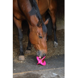 Giocattolo Bizzy Ball Likit Fucsia Rosa