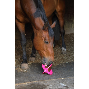 Giocattolo Bizzy Ball Likit Fucsia Rosa