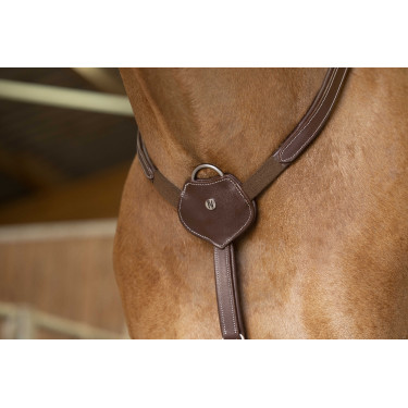 Pettorale Norton Pro Confort
