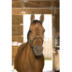 Capestro Norton Reflective
