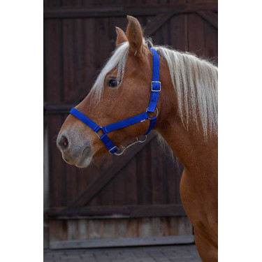 Capestro Norton Pro per cavallo da tiro