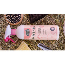 Easy Shine Ravene Eco-Ricarica