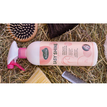 Easy Shine Ravene Eco-Ricarica