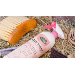 Easy Shine Ravene Eco-Ricarica