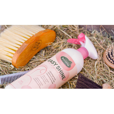 Easy Shine Ravene Eco-Ricarica
