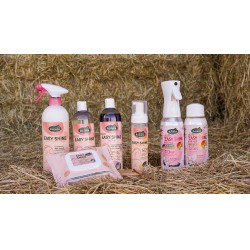 Easy Shine Ravene Eco-Ricarica