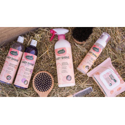 Easy Shine Ravene Eco-Ricarica