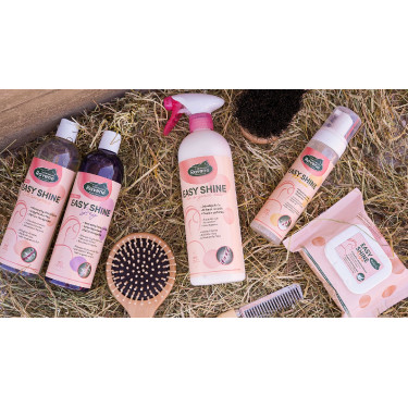 Easy Shine Ravene Eco-Ricarica