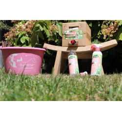 Easy Shine Ravene Eco-Ricarica