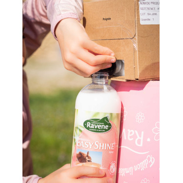 Easy Shine Ravene Eco-Ricarica