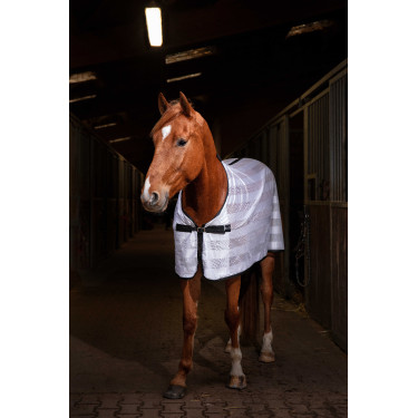 Camicia Riding World Mesh Bianco