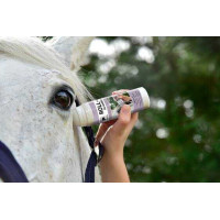 Roll-On antinsetti per cavalli sensibili