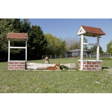 Collare in pelle Diego & Louna per cane Naturale Marrone