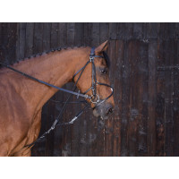 Gogue a carrucole Riding World Avana Marrone