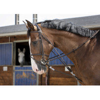 Gogue a carrucole Riding World Avana Marrone
