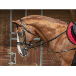 Redini ausiliarie elastiche corte / carrucole Norton Pro Redini ausiliarie elastiche corte / carrucole Norton Pro