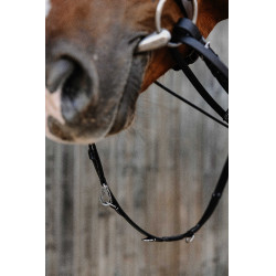 Redini ausiliarie Norton Pro Thiedeman