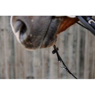 Redini ausiliarie Norton Pro Thiedeman