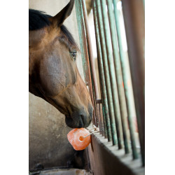 Pietra di sale Hippotonic dell'Himalaya Pietra di sale Hippotonic dell'Himalaya