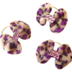 Nastri Equithème Leopardo