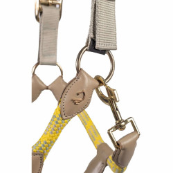 Capezza Lauria Garrelli Limone Sportive