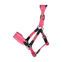 Capestro HKM Maui per shetland Rosa