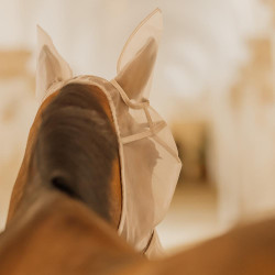 Maschera anti-mosche Classic con orecchie e coprinasso Kentucky