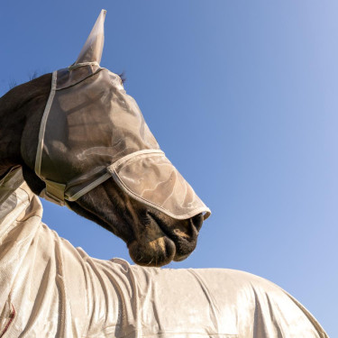 Maschera anti-mosche Classic con orecchie e coprinasso Kentucky