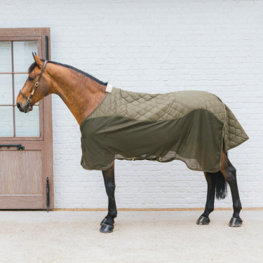 Trasporto Combo Cooler in Pile Kentucky Verde abete