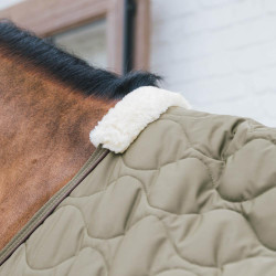 Trasporto Combo Cooler in Pile Kentucky Verde abete