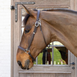 Capestro da toelettatura Working by Dy'on Marrone