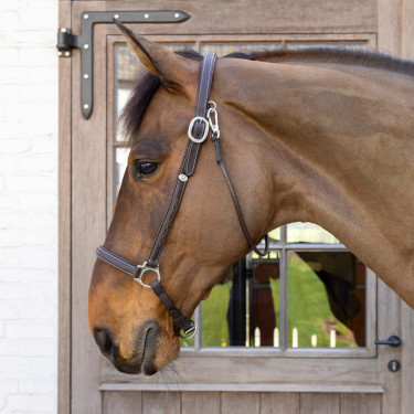 Capestro da toelettatura Working by Dy'on Marrone