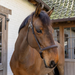 Capestro da toelettatura Working by Dy'on Marrone