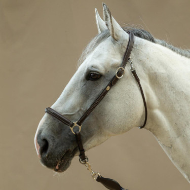 Capestro da toelettatura Working by Dy'on Marrone